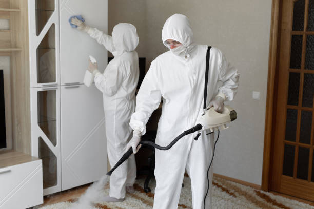Best Mold Testing and Removal  in Pennsboro, WV